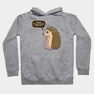 Hedgehog says Trans Rights Hoodie